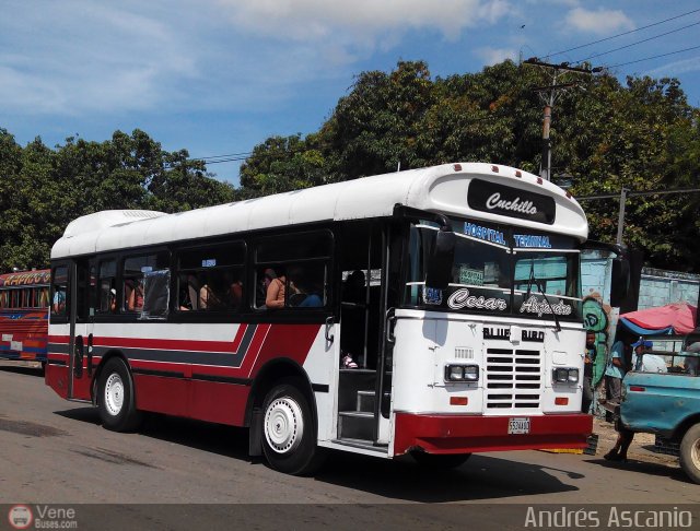 AR - U.C. Hospital - Terminal 52 por Andr�s Ascanio