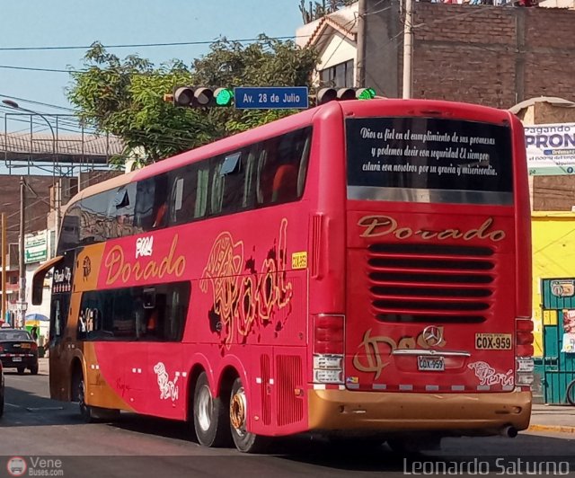 Turismo Pool Dorado 959 por Leonardo Saturno