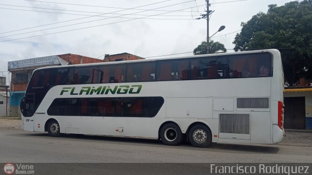 Expresos Flamingo 0090 por Francisco Rodr�guez