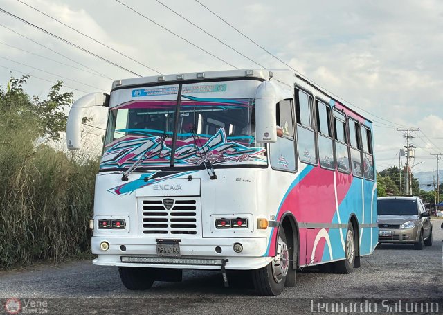 Particular o Desconocido 08 por Leonardo Saturno