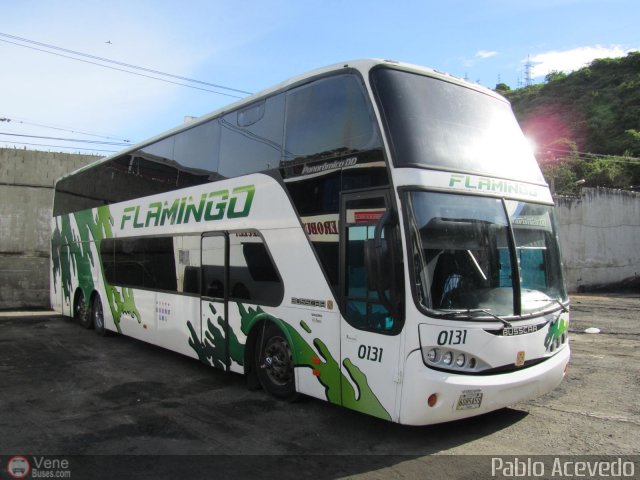 Expresos Flamingo 0131 por Pablo Acevedo