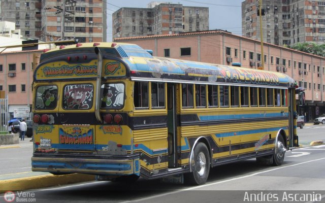 Transporte Guacara 0034 por Andr�s Ascanio