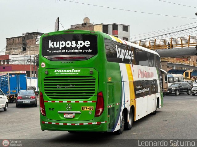 Expreso Internacional Palomino 7047 por Leonardo Saturno