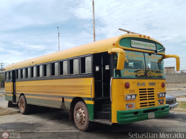 ZU - Colectivos Concepci�n 074 por Sebasti�n Mercado