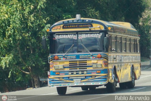 Transporte Guacara 0065 por Pablo Acevedo