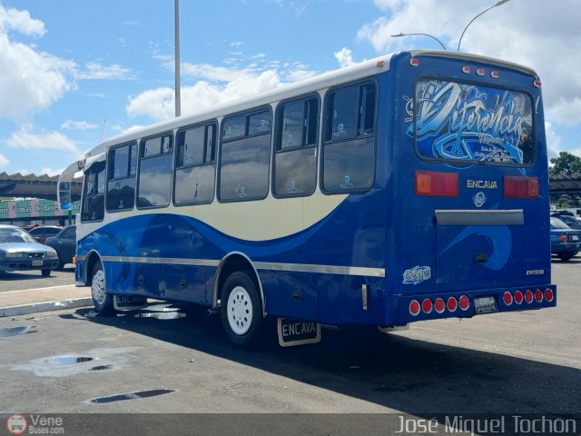 A.C.C. Turgar 96 por Jos� Miguel Toch�n