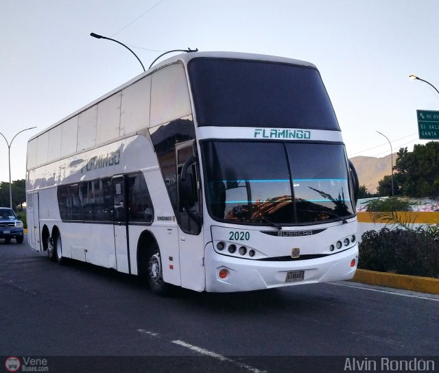 Expresos Flamingo 2020 por Alvin Rond�n