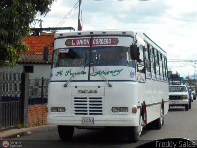 Asociacin Civil Lnea Unin Cordero 029 por Freddy Salas