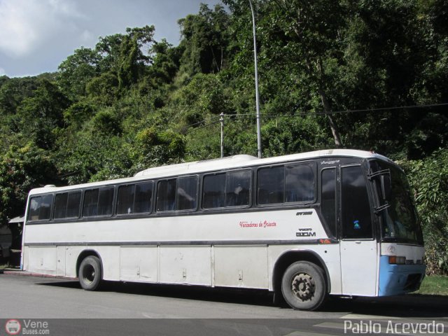 Vencedores de Oriente E.P.S. 004 por Pablo Acevedo