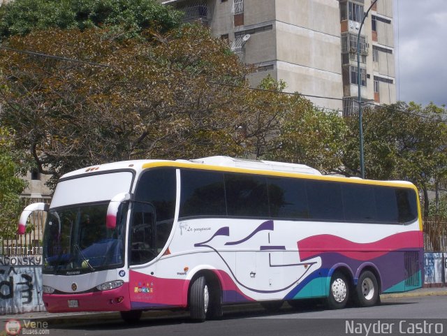 Expresos La Guayanesa 145 por Nayder Castro