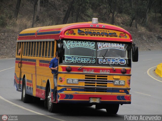 Transporte Colectivo Camag 05 por Pablo Acevedo