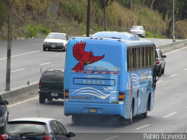 Los P�jaros de Lara 001 por Pablo Acevedo