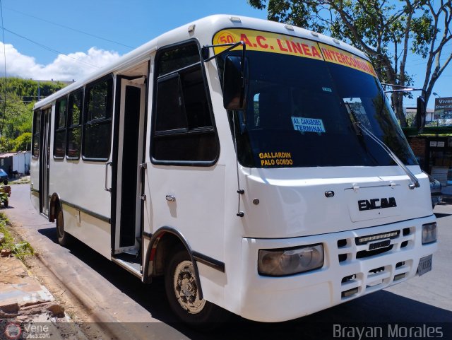 TA - A.C. Lnea Intercomunal 50 por Jerson Nova