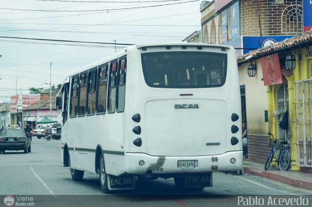 Particular o Desconocido Tocuyo por Pablo Acevedo