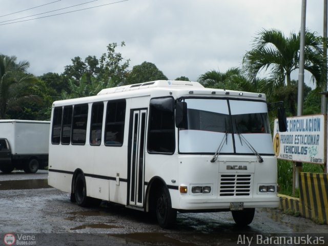 Particular o Desconocido 03 por Aly Baranauskas