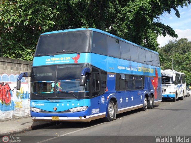 Los P�jaros de Lara 012 por Waldir Mata