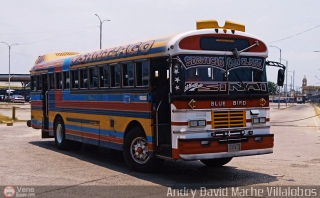 Colectivos Cachiri 15 por Andry David Mache Villalobos