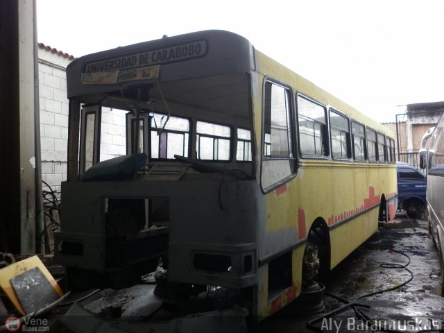 En Chiveras Abandonados Recuperaci�n 0002 por Aly Baranauskas