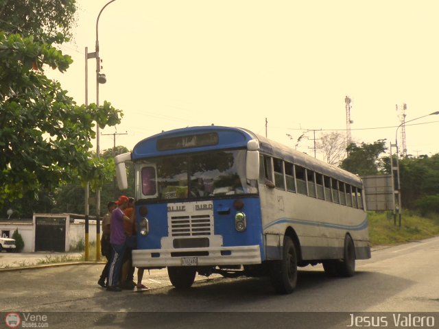 Colectivos La Raiza C.A. 02 por Jes�s Valero