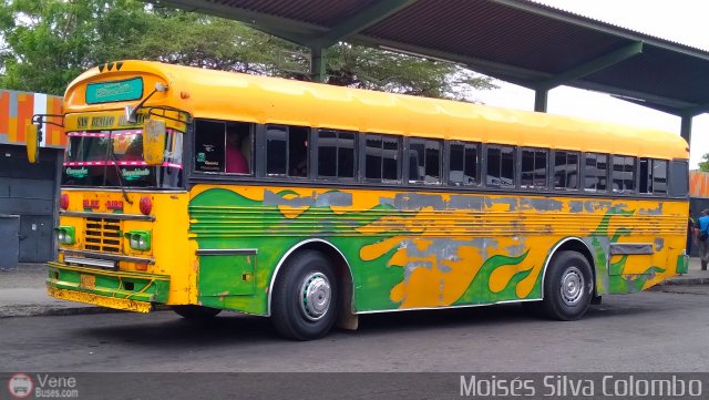 Transporte Panamericano 01 por Mois�s Silva Colombo