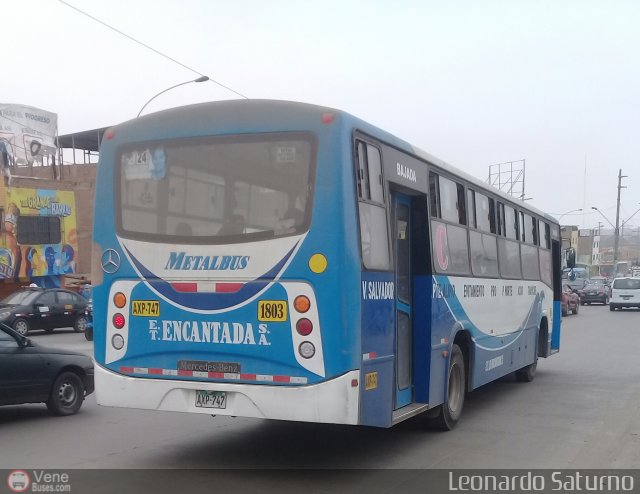 E.T. La Encantada S.A. 990 por Leonardo Saturno