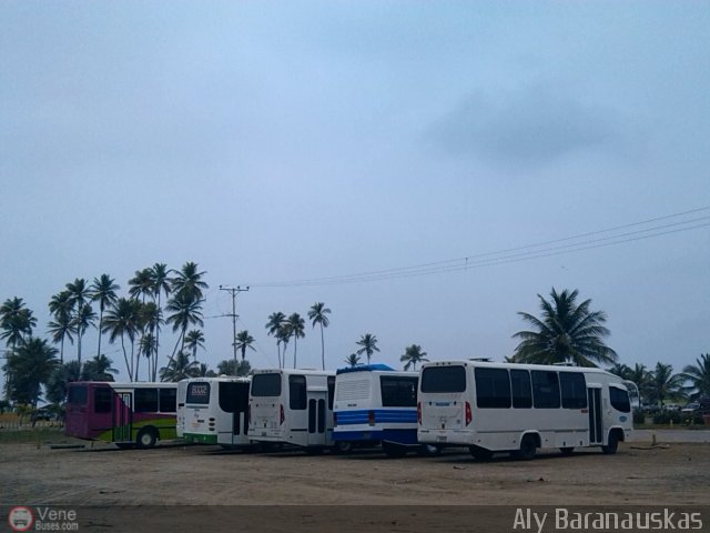 Garajes Paradas y Terminales Puerto-Cabello por Aly Baranauskas