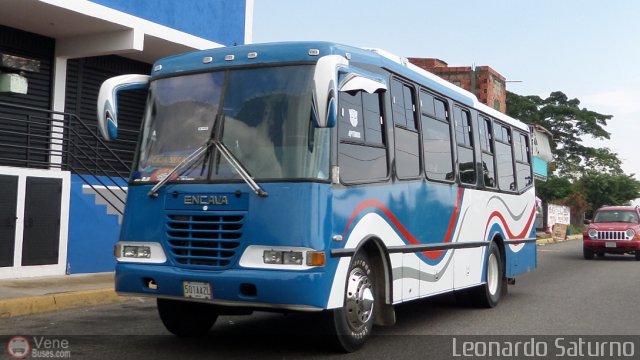 L�nea Los Andes S.C. 038 por Leonardo Saturno