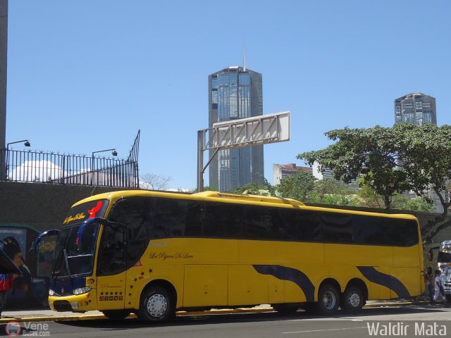 Los P�jaros de Lara 021 por Waldir Mata