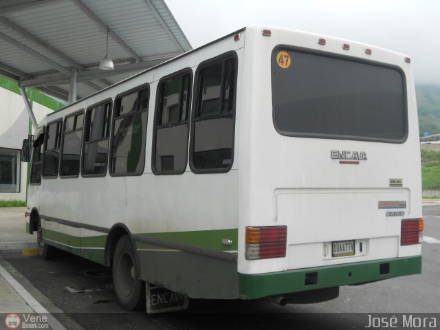 A.C. L�nea Col�n 47 por Jos� Mora