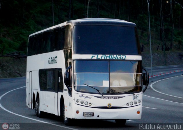 Expresos Flamingo 0071 por Pablo Acevedo