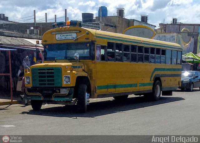 ZU - Colectivos Concepci�n 097 por �ngel Delgado