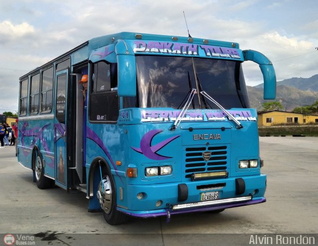 Particular NO USAR M�S 41 por Alvin Rond�n