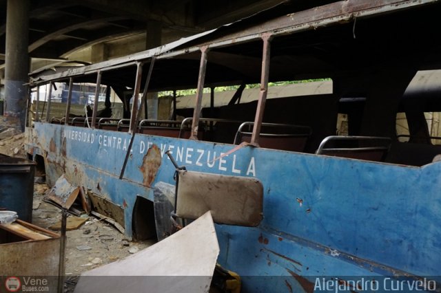 En Chiveras Abandonados Recuperaci�n Alejo4546 3 por Alejandro Curvelo