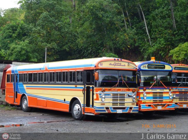 A.C. Transporte Independiente 41 por J. Carlos G�mez