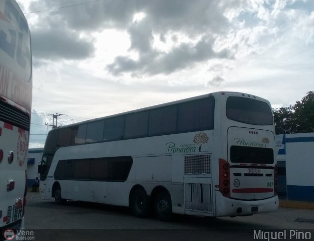 Expresos Primavera 047 por Miguel Pino