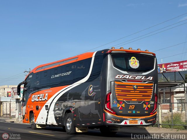 Tax Gacela 019 por Leonardo Saturno