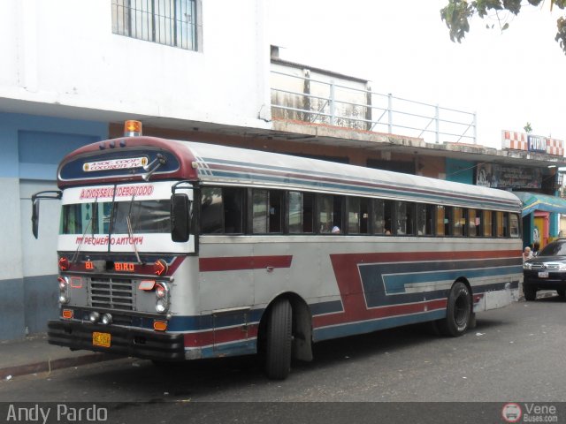 YA - Asociaci�n Cooperativa Cocorote IV nd por Andy Pardo