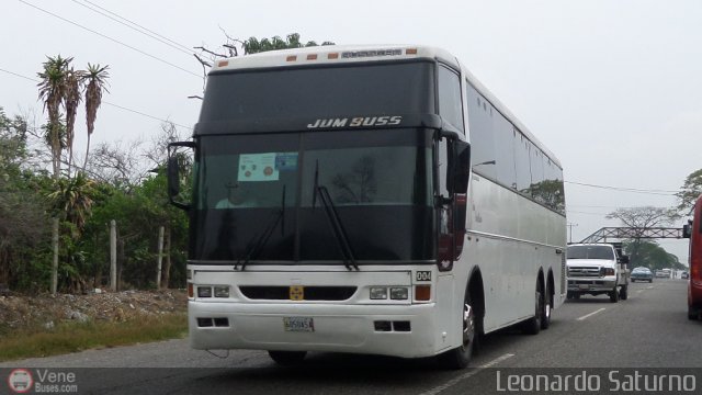 Particular o Desconocido 0004 por Leonardo Saturno