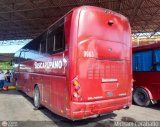 Bus Carpano