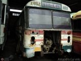 CA - Expresos Big Low 03