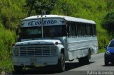 TA - Unin Transporte El Corozo S.A. 24