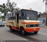 MI - Uni�n de Transportistas San Pedro A.C. 67