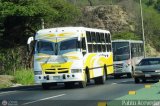 U.C. Caracas - El Junquito - Colonia Tovar 090, por Pablo Acevedo