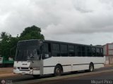 A.C. de Transporte Macizo Guayan�s 02 por M�guel Pino