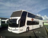 Expresos Occidente 394