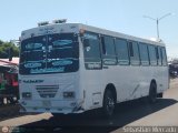 Colectivos La Rosita 007, por Sebastin Mercado
