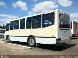 A.C.C. Expresos del Valle 01 por Jos� Miguel Toch�n