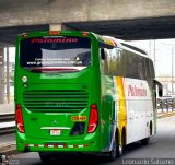 Expreso Internacional Palomino 7057