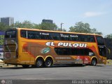 El Pulqui S.R.L. 019