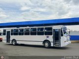 Colectivos Transporte Maracay C.A. 037 por Esmirs Osal